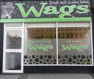 WAGS_shop